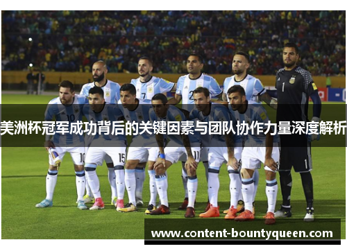 美洲杯冠军成功背后的关键因素与团队协作力量深度解析