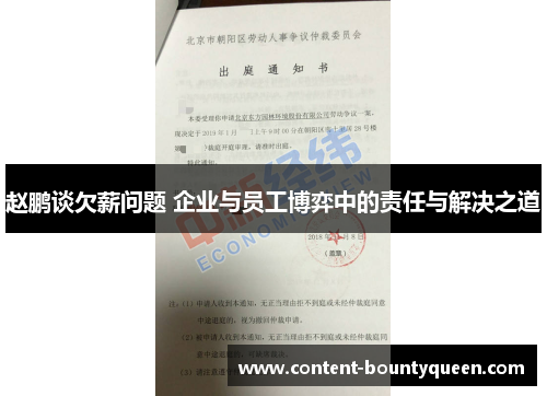 赵鹏谈欠薪问题 企业与员工博弈中的责任与解决之道