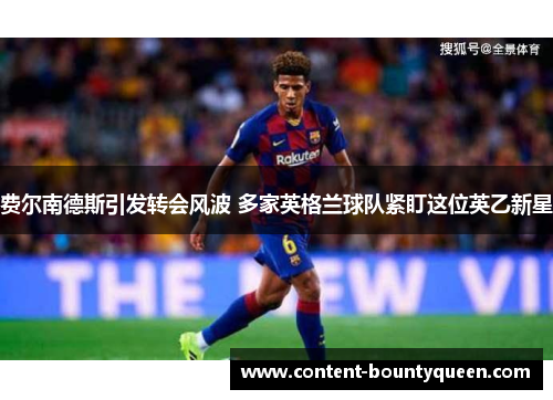 费尔南德斯引发转会风波 多家英格兰球队紧盯这位英乙新星 费尔南德斯引发转会风波 多家英格兰球队紧盯这位英乙新星