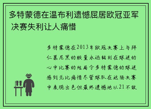 多特蒙德在温布利遗憾屈居欧冠亚军 决赛失利让人痛惜
